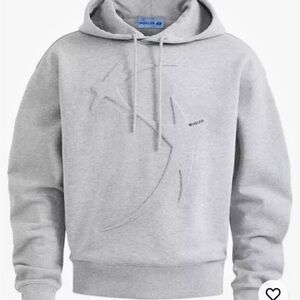 Gray Men's Hoodie